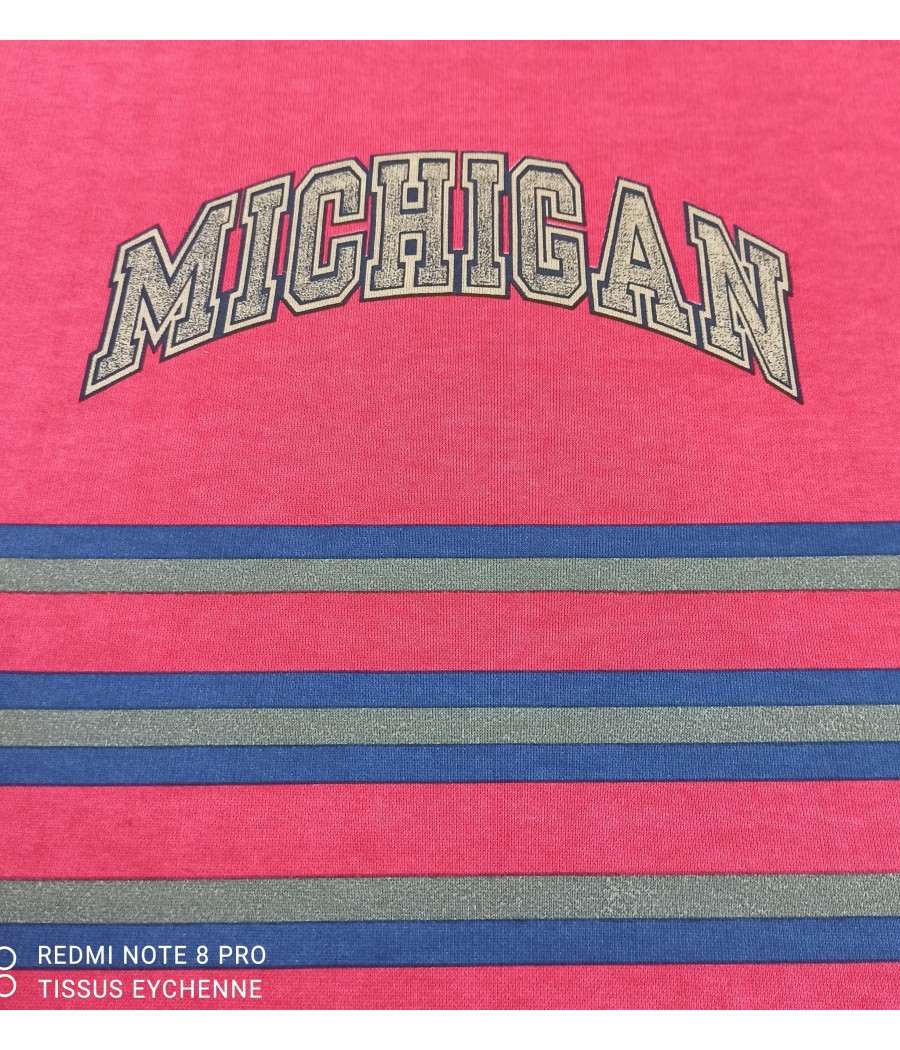 Sweat Michigan - Panneau 1m70 X 1m90